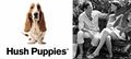 Hush puppies品牌.jpg